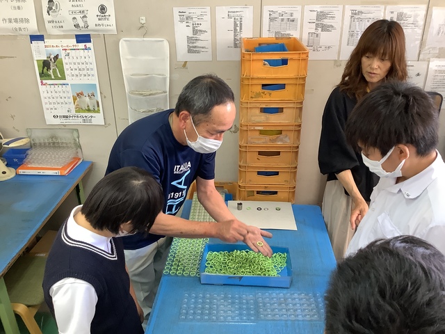 職場見学