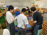 syokuba03